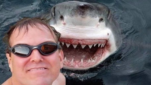 shark-selfie